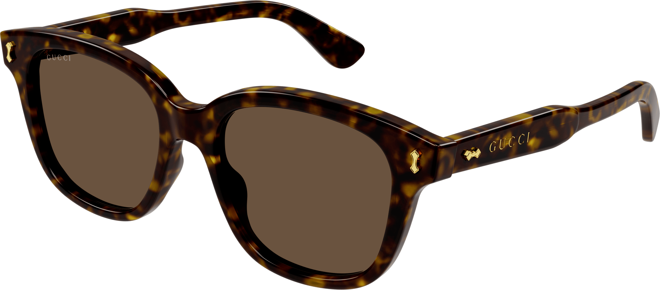 Color_GG1264S-005 - HAVANA - BROWN