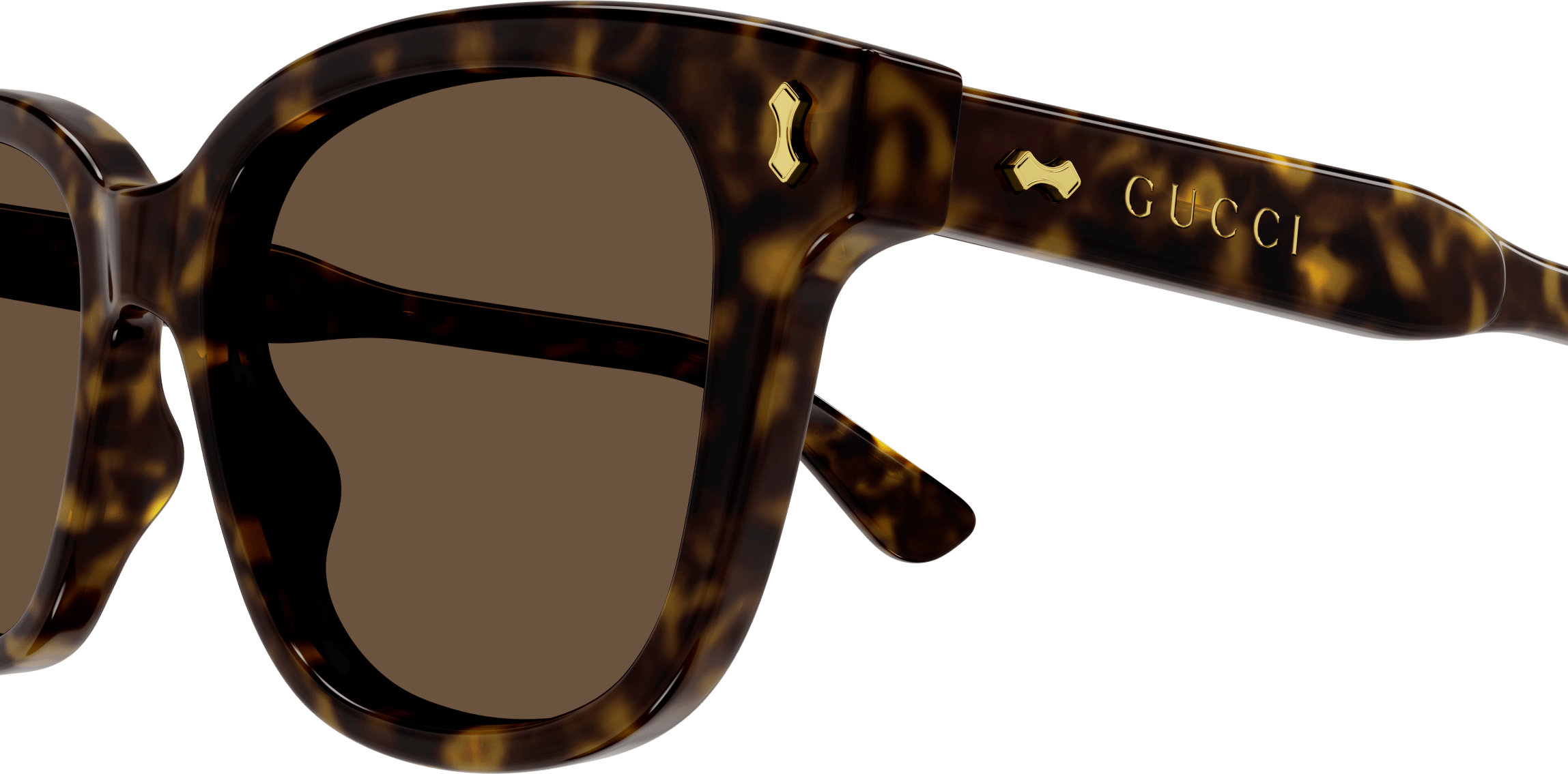 Color_GG1264S-005 - HAVANA - BROWN