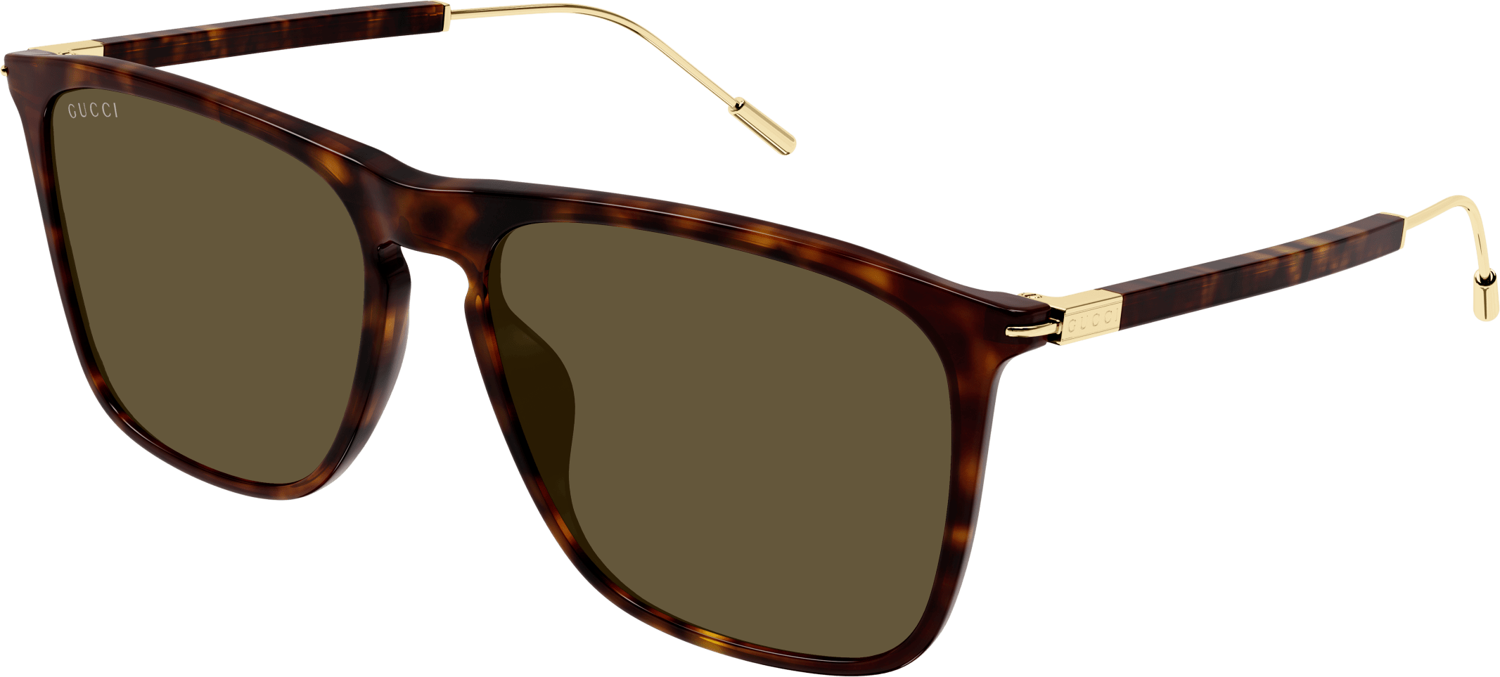 Color_GG1269S-002 - HAVANA - BROWN