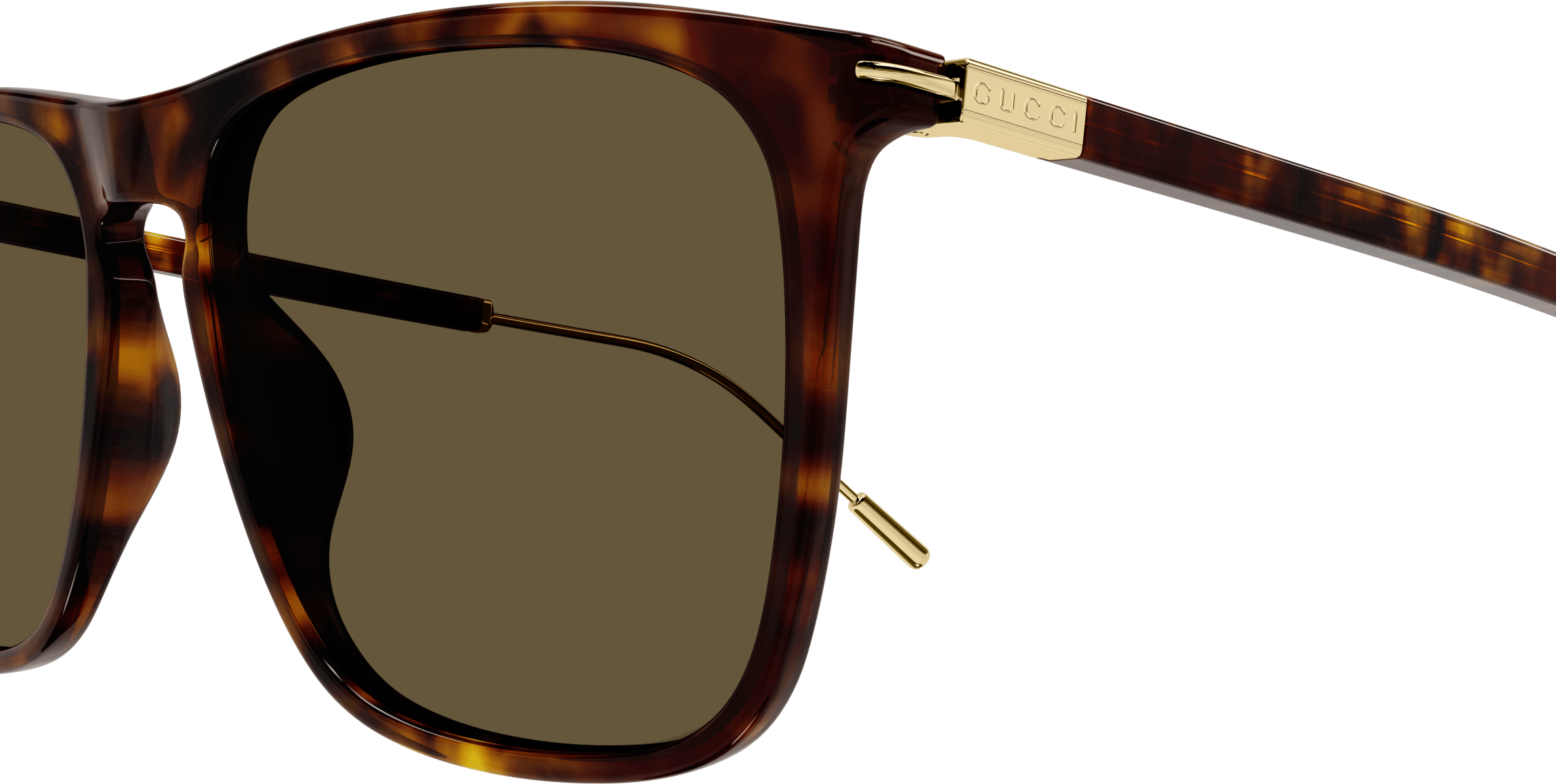 Color_GG1269S-002 - HAVANA - BROWN