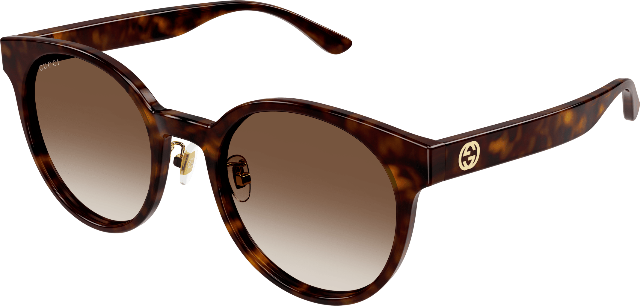 Color_GG1339SK-003 - HAVANA - BROWN