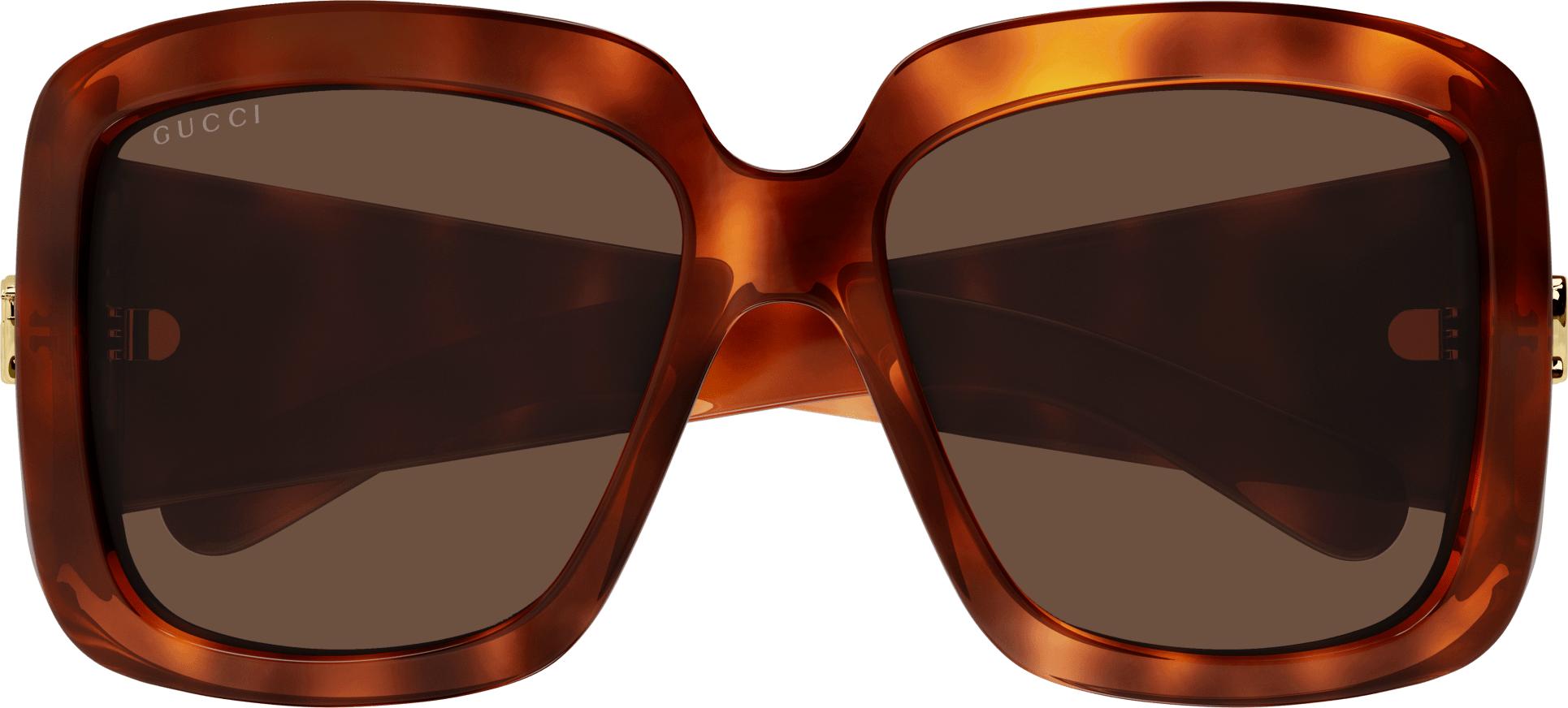 Color_GG1402S-002 - HAVANA - BROWN