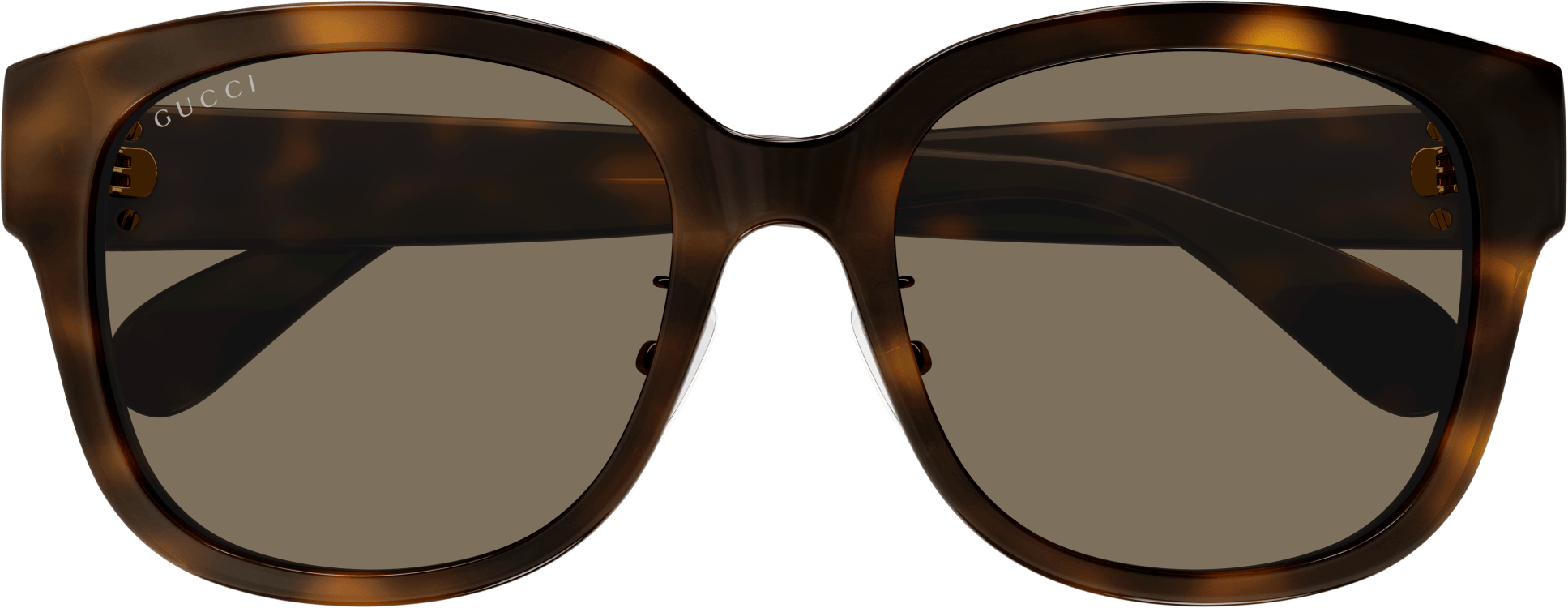 Color_GG1409SK-004 - HAVANA - BROWN