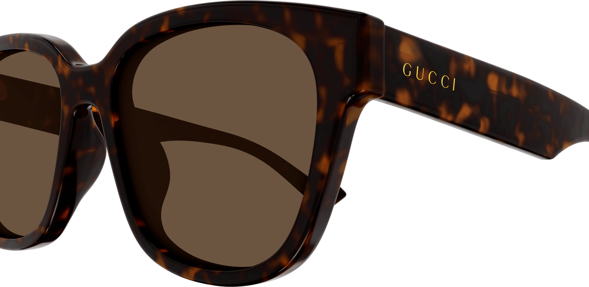 Color_GG1430SK-002 - HAVANA - BROWN