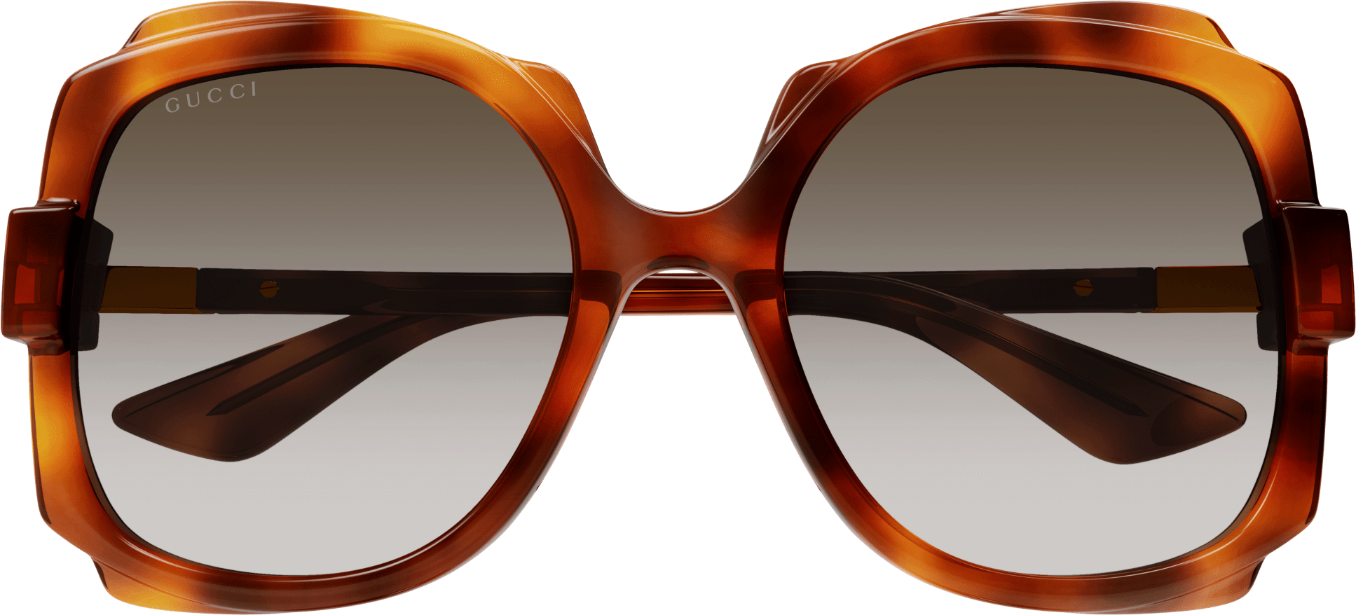 Color_GG1431S-002 - HAVANA - BROWN