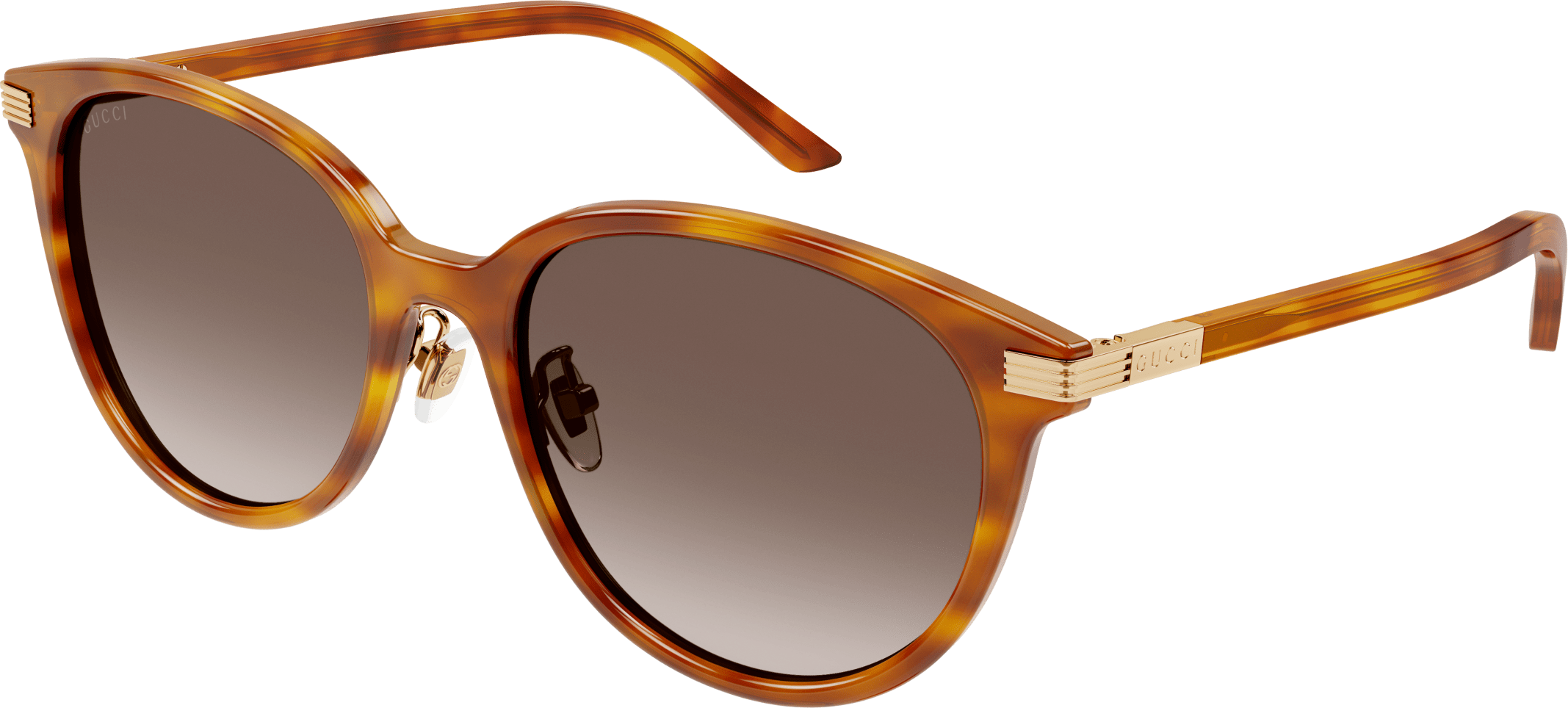 Color_GG1452SK-004 - HAVANA - BROWN