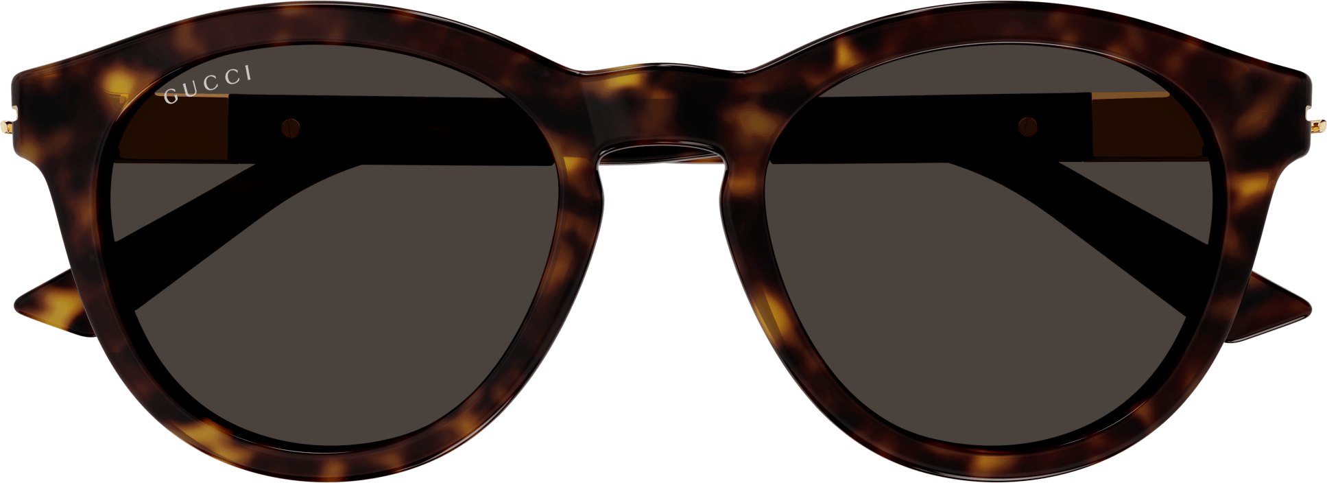 Color_GG1501S-002 - HAVANA - BROWN