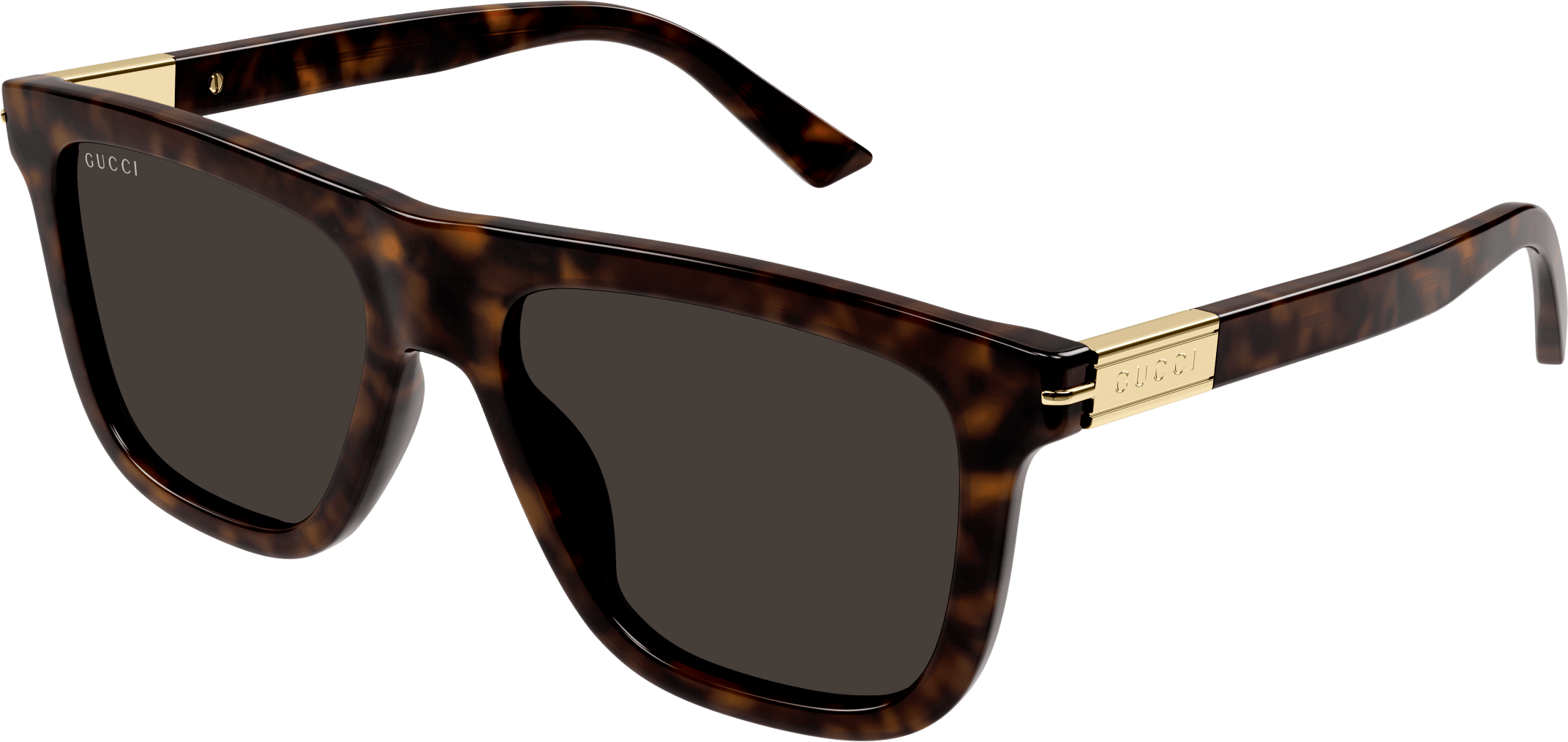 Color_GG1502S-002 - HAVANA - BROWN