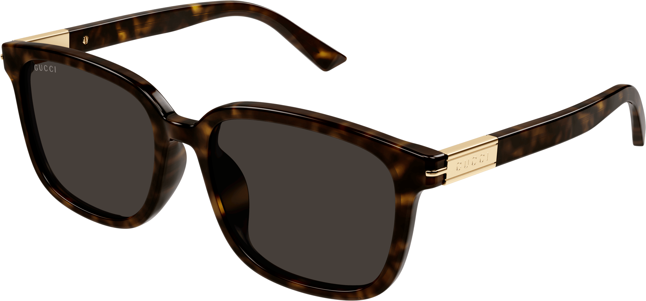 Color_GG1505SK-002 - HAVANA - BROWN