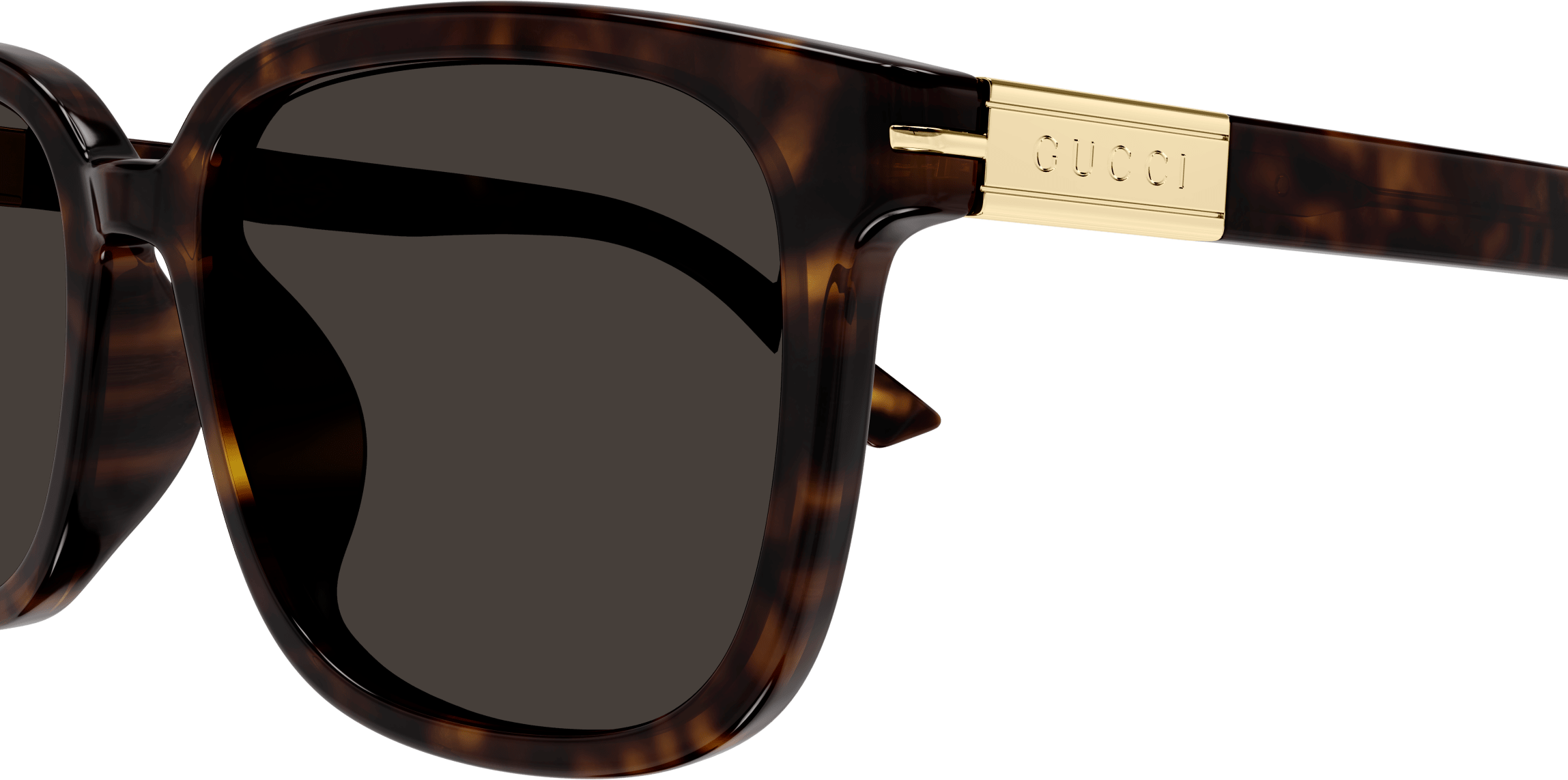 Color_GG1505SK-002 - HAVANA - BROWN