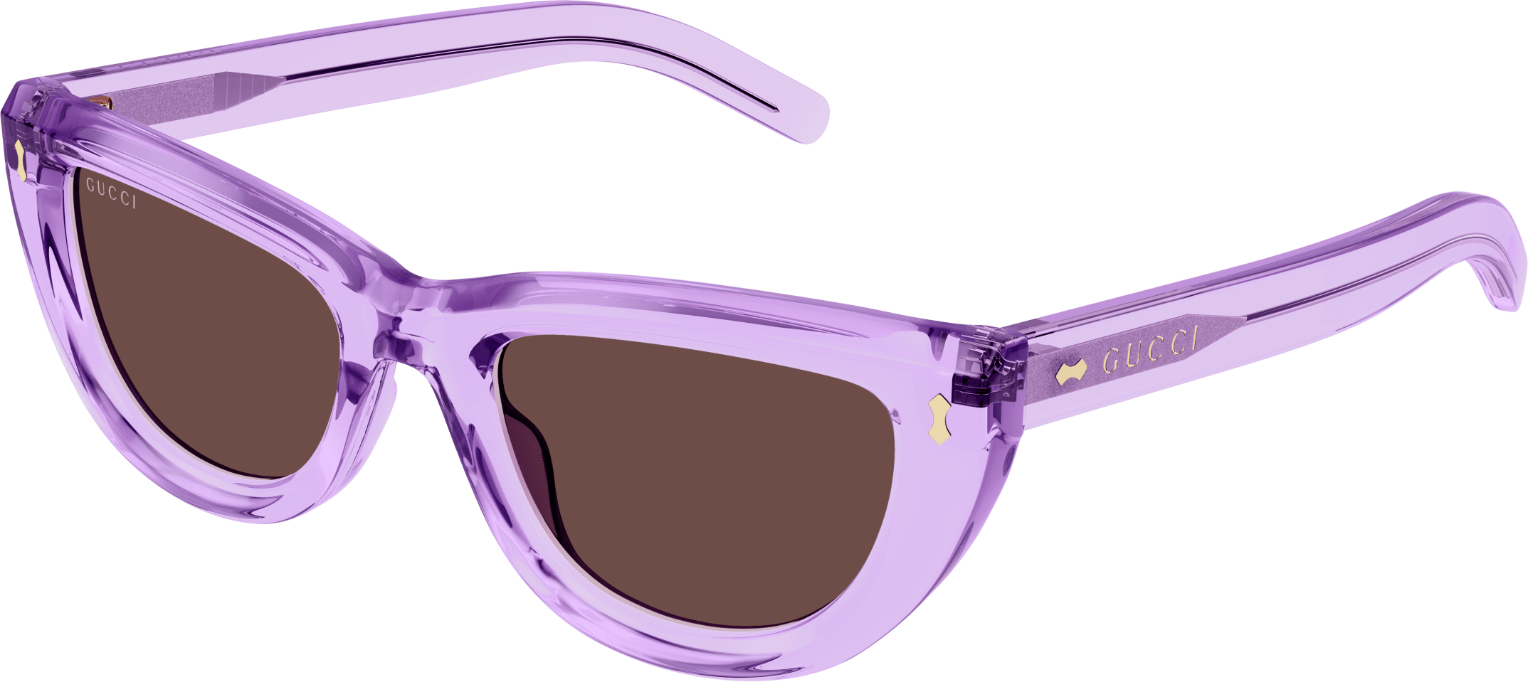 Color_GG1521S-004 - VIOLET - BROWN