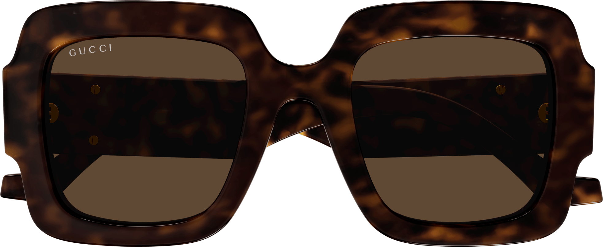 Color_GG1547S-002 - HAVANA - BROWN