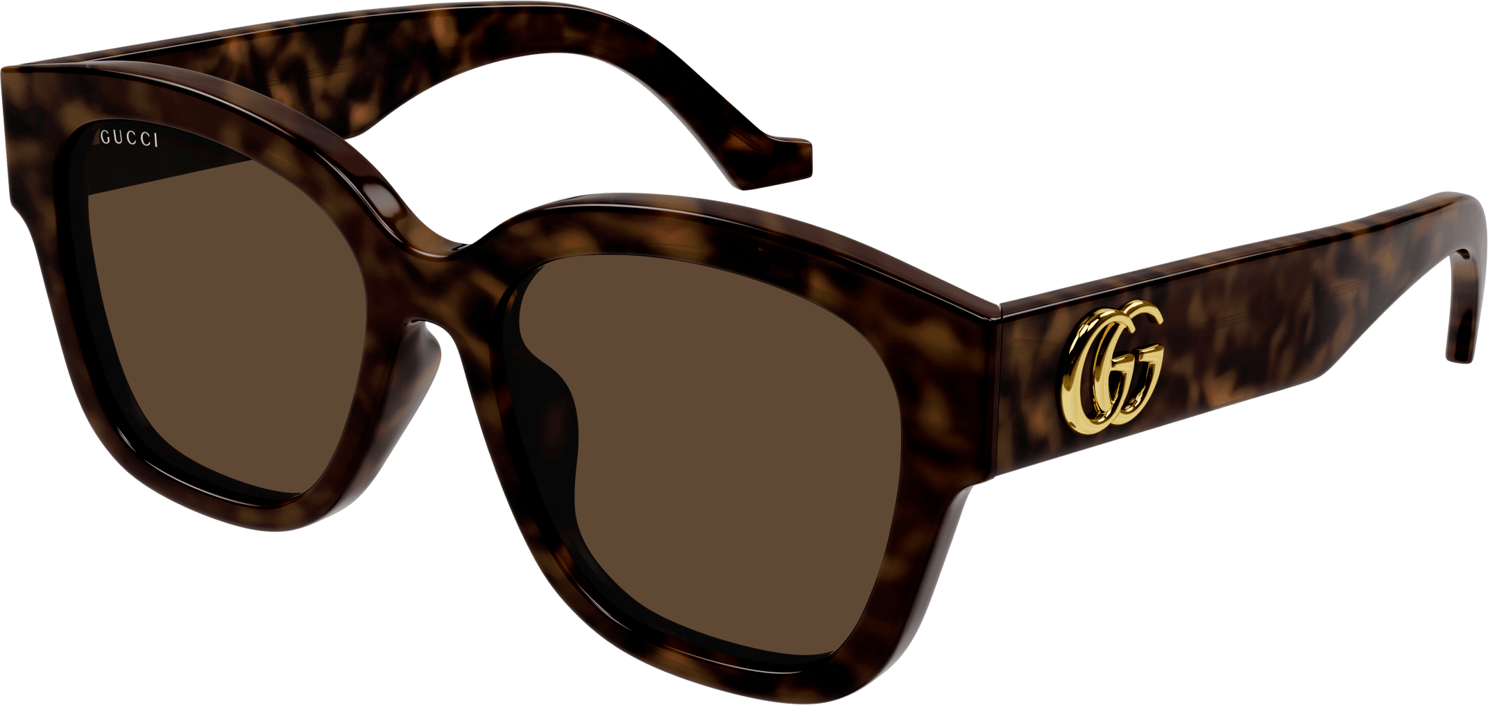 Color_GG1550SK-002 - HAVANA - BROWN