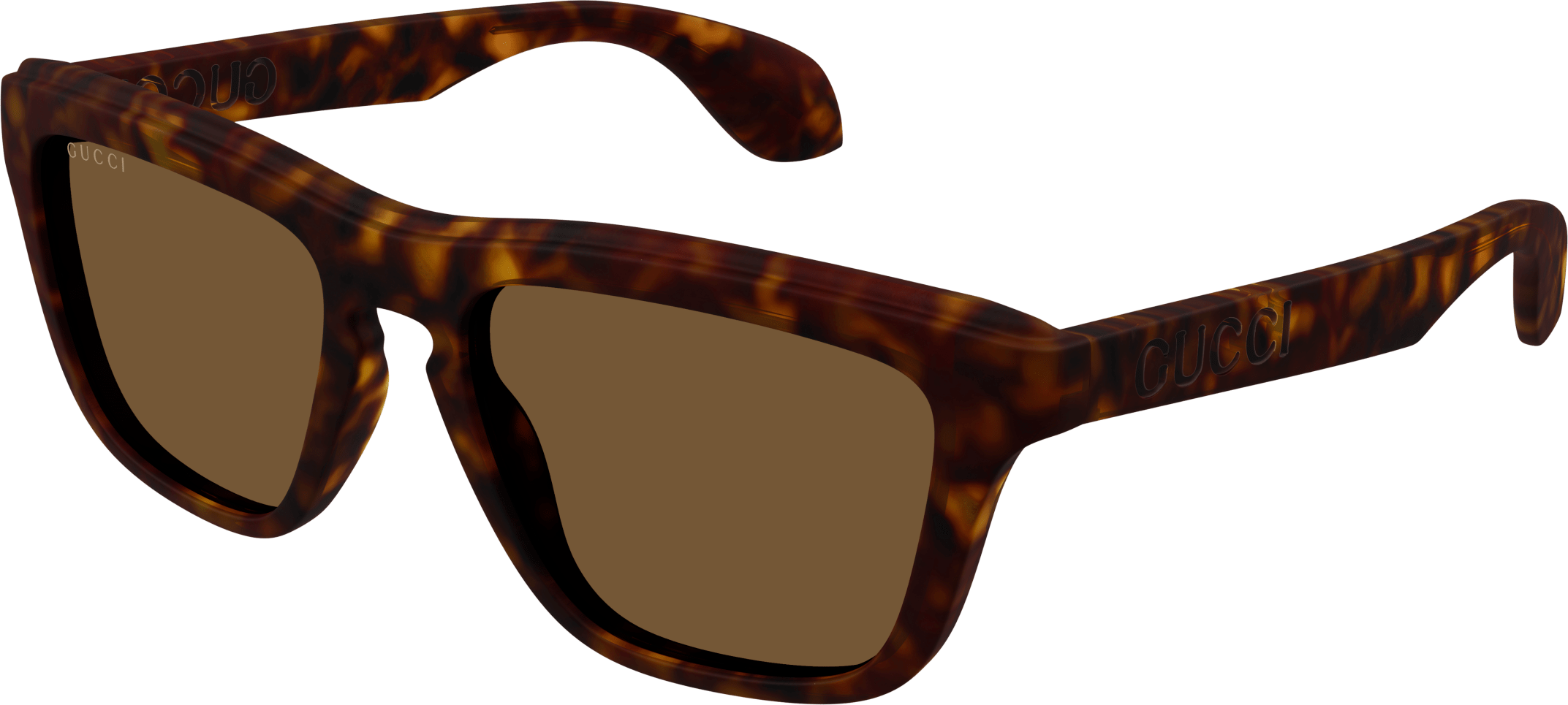 Color_GG1571S-002 - HAVANA - BROWN