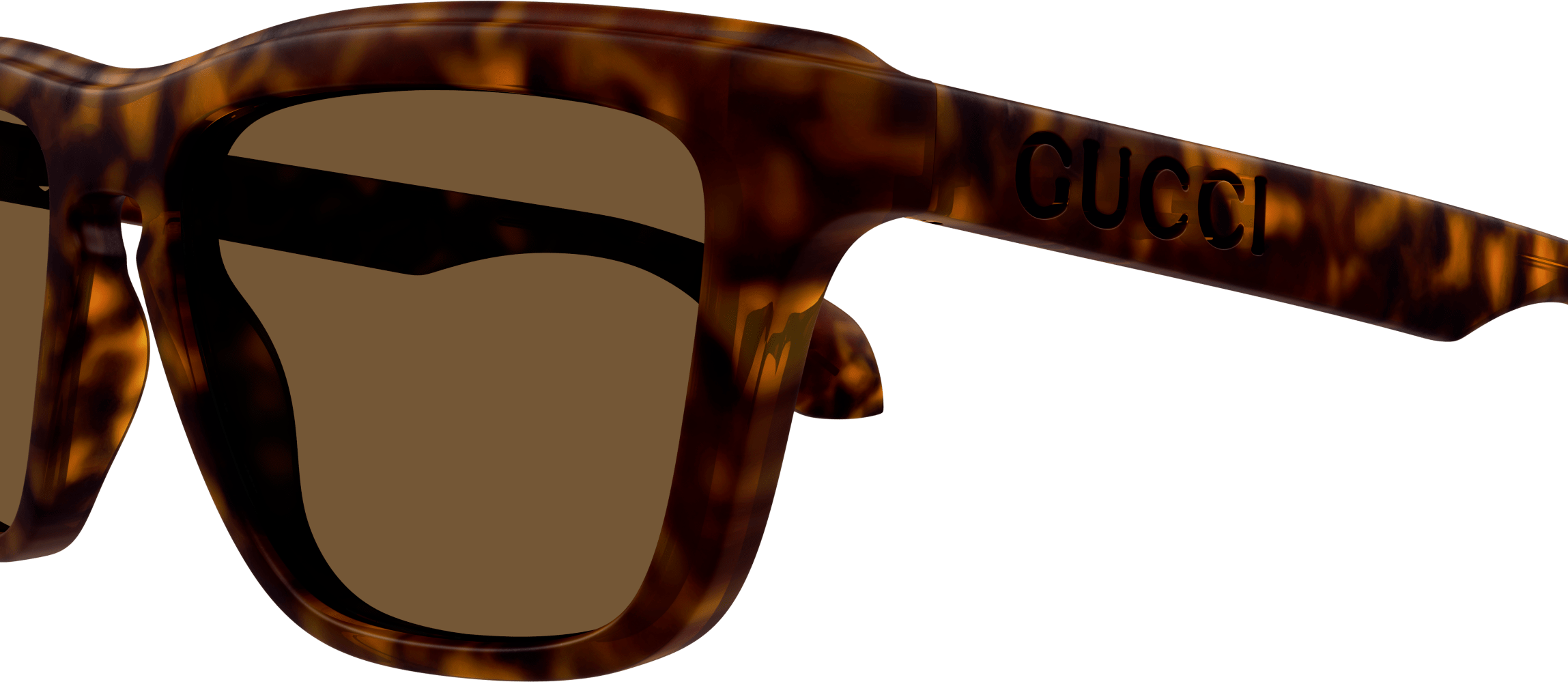 Color_GG1571S-002 - HAVANA - BROWN