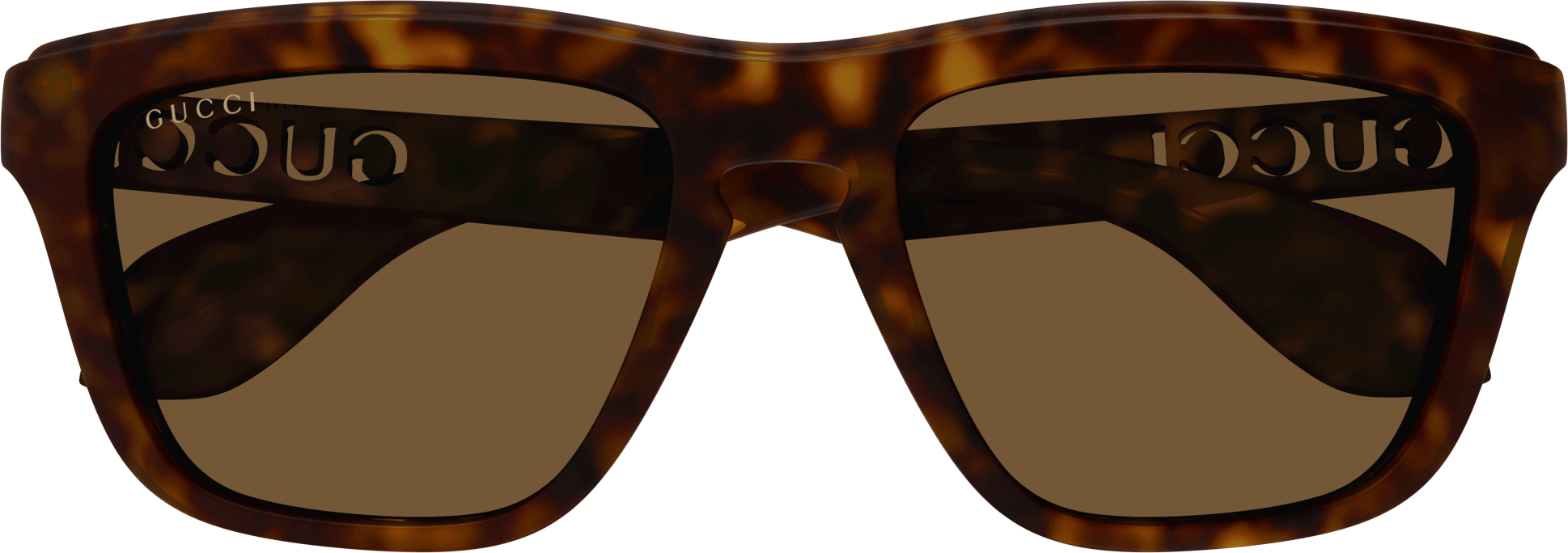 Color_GG1571S-002 - HAVANA - BROWN