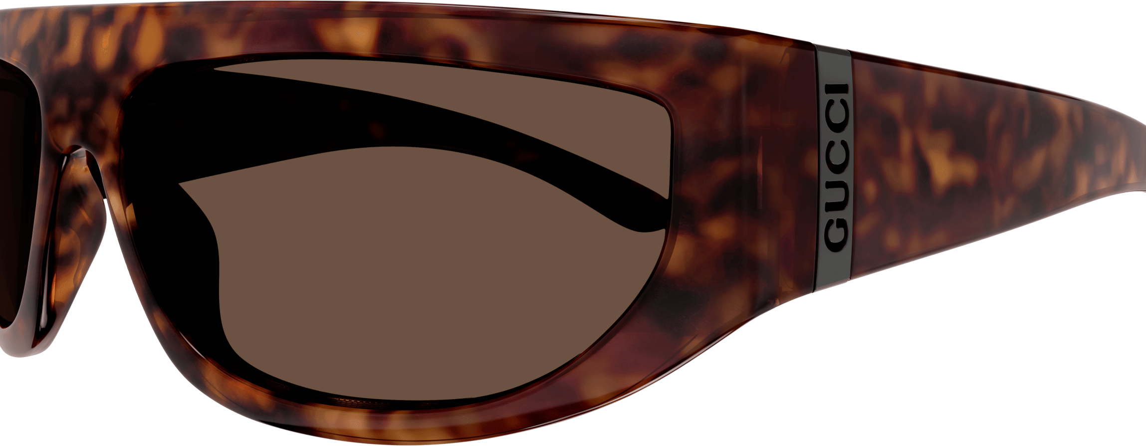 Color_GG1574S-002 - HAVANA - BROWN