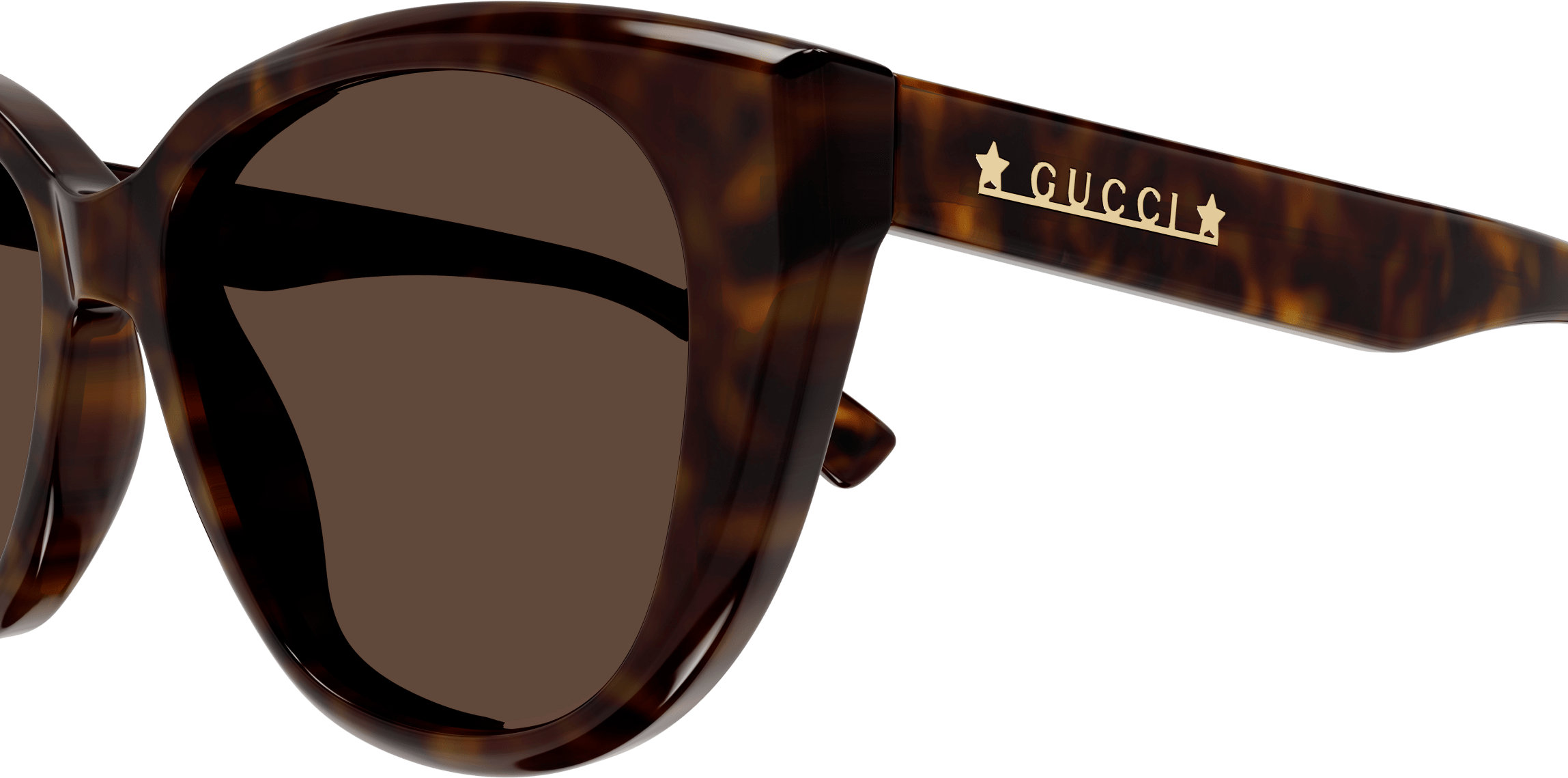 Color_GG1588S-002 - HAVANA - BROWN