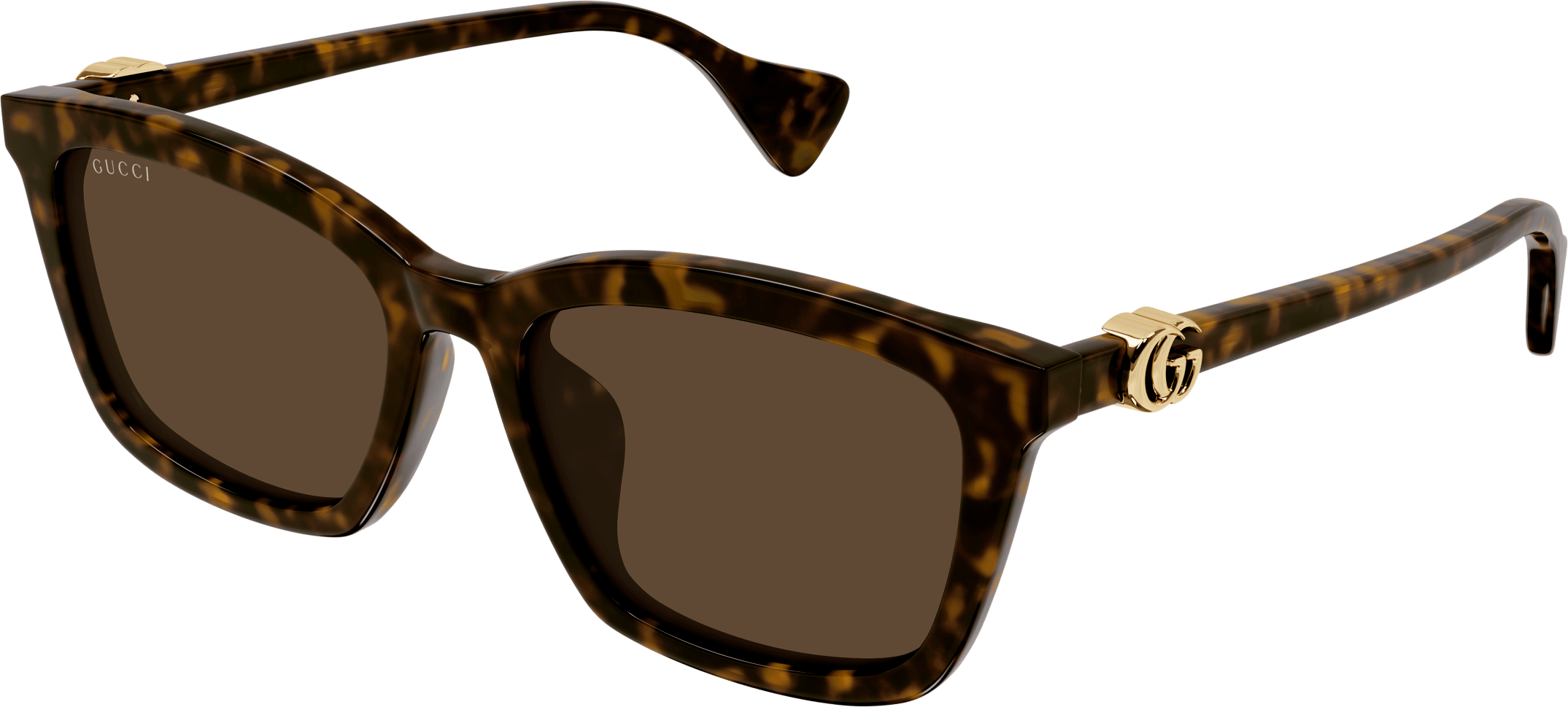 Color_GG1596SK-003 - HAVANA - BROWN