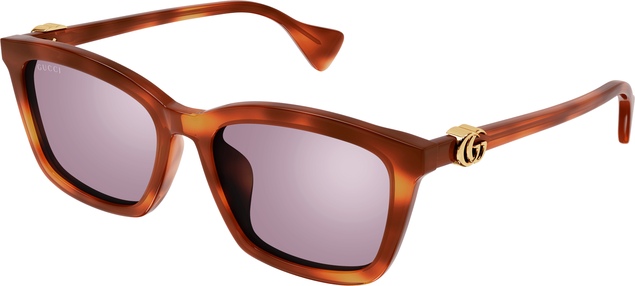 Color_GG1596SK-004 - HAVANA - VIOLET