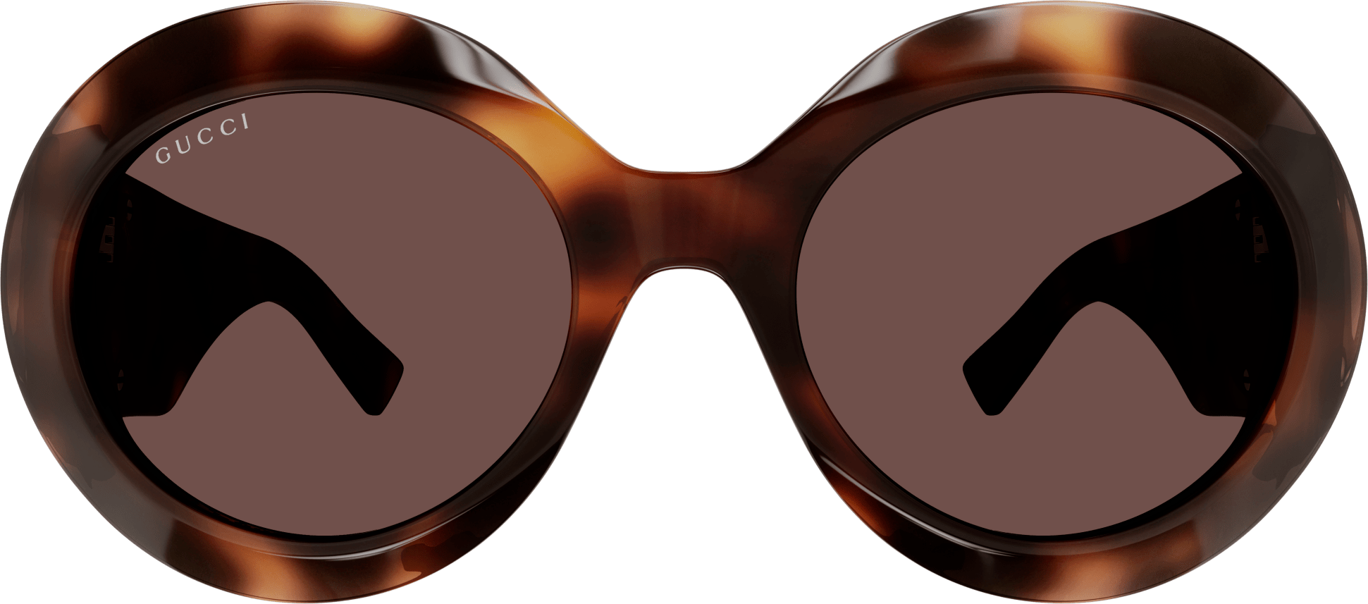 Color_GG1647S-009 - HAVANA - BROWN