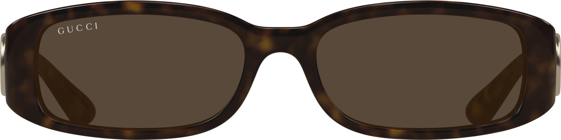 Color_GG1661S-002 - HAVANA - BROWN