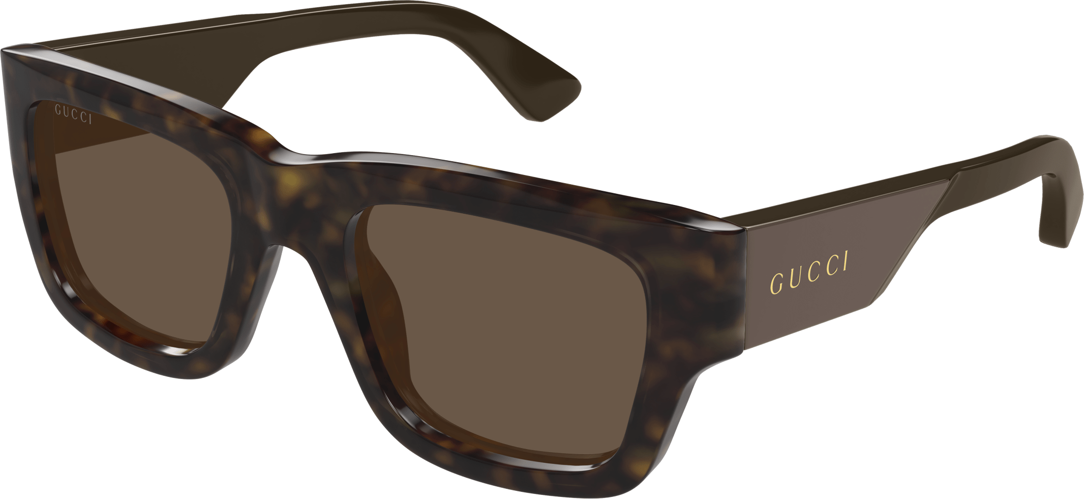 Color_GG1668S-005 - HAVANA - BROWN