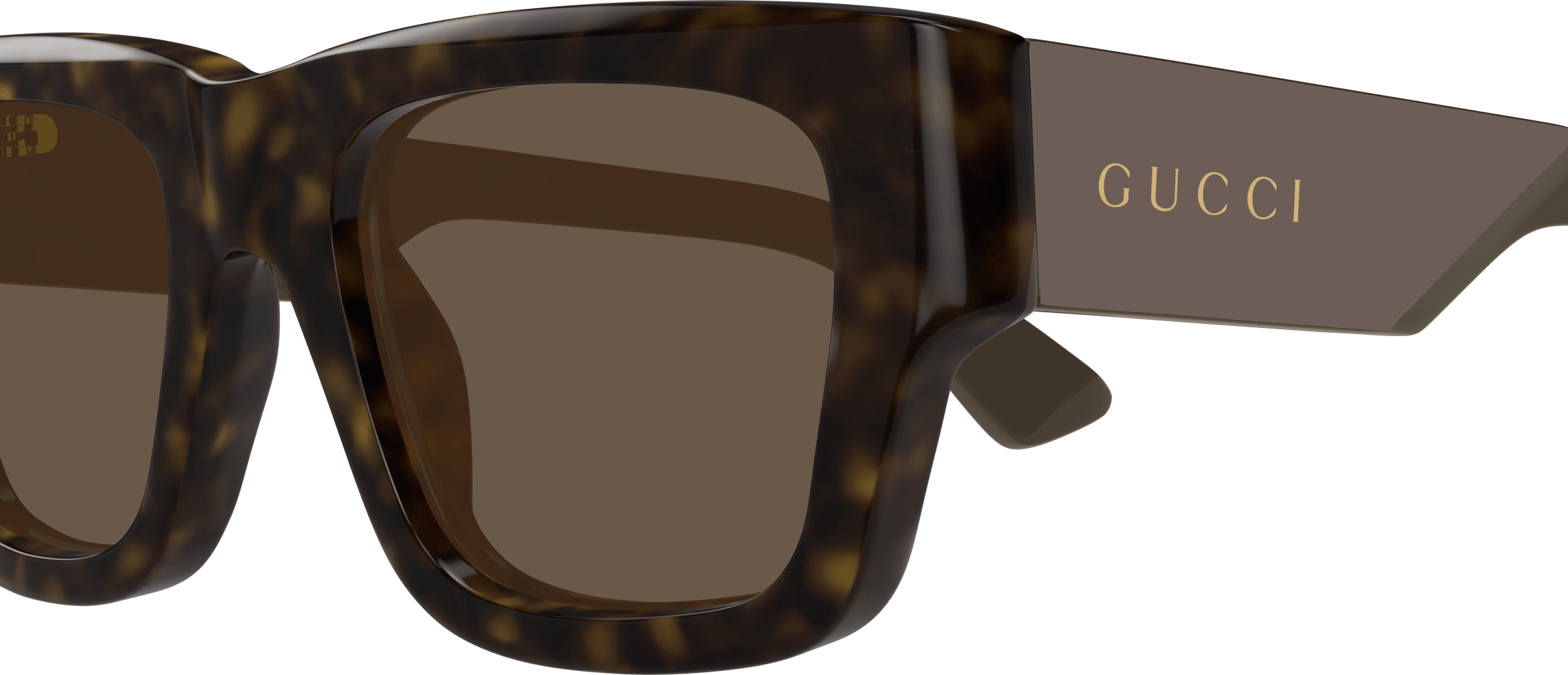 Color_GG1668S-005 - HAVANA - BROWN