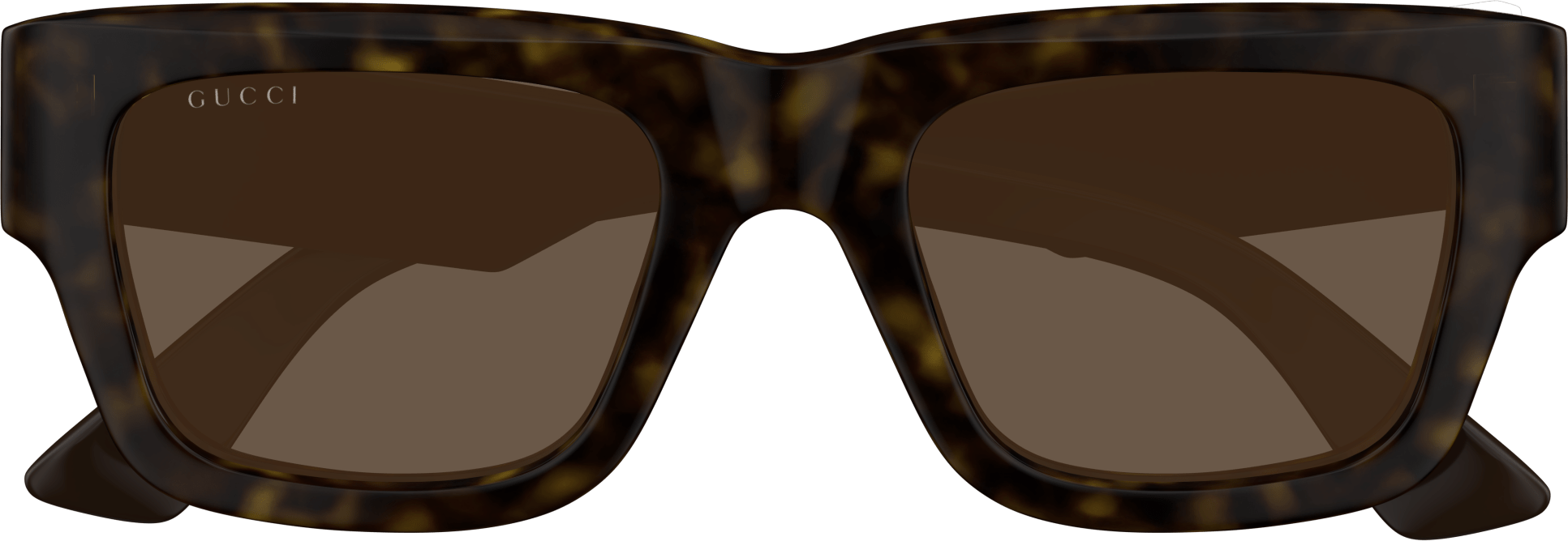 Color_GG1668S-005 - HAVANA - BROWN