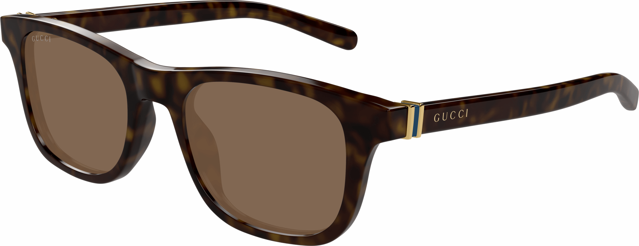 Color_GG1671S-002 - HAVANA - BROWN