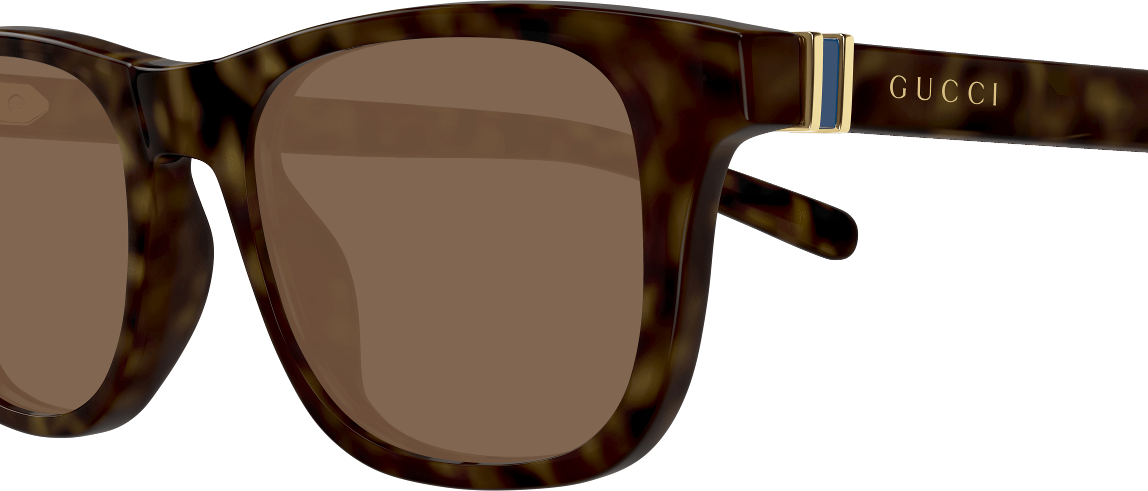 Color_GG1671S-002 - HAVANA - BROWN