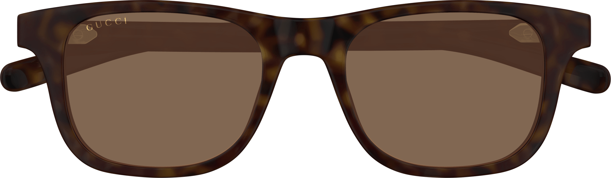 Color_GG1671S-002 - HAVANA - BROWN