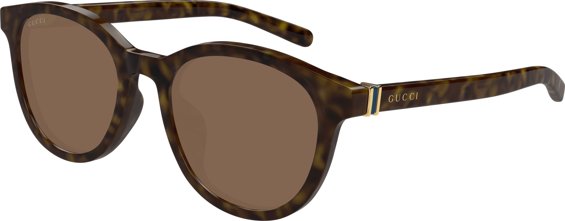 Color_GG1674SK-002 - HAVANA - BROWN