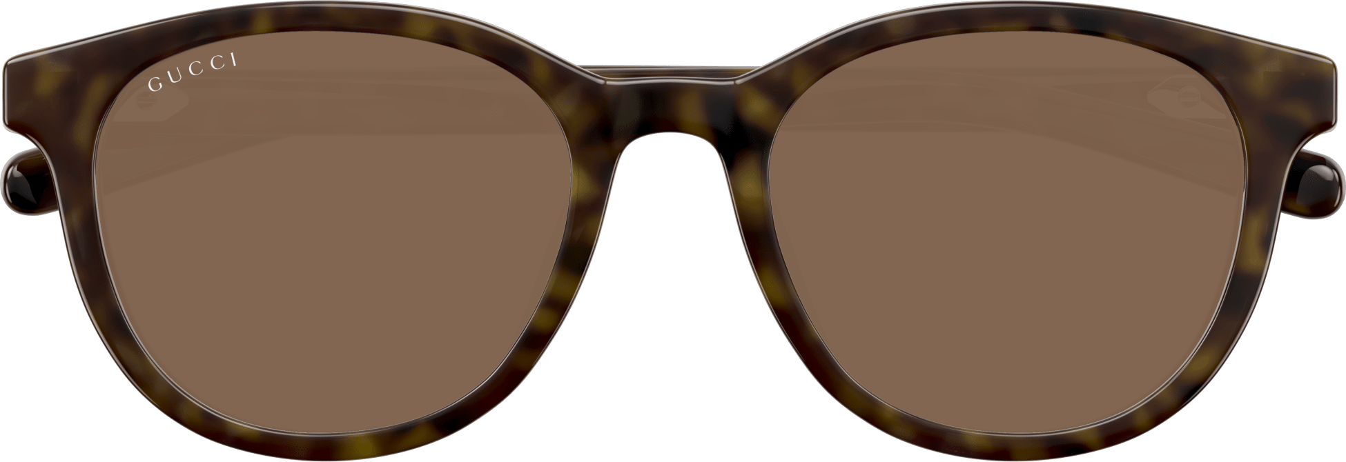 Color_GG1674SK-002 - HAVANA - BROWN