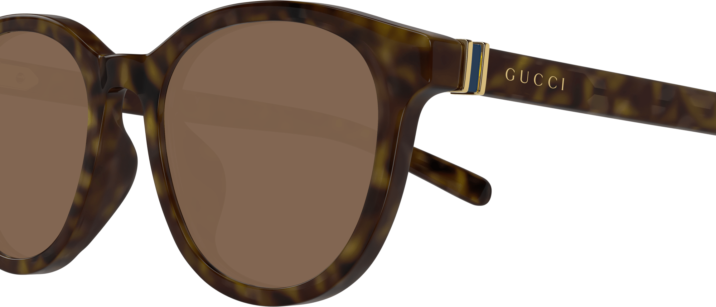 Color_GG1674SK-002 - HAVANA - BROWN