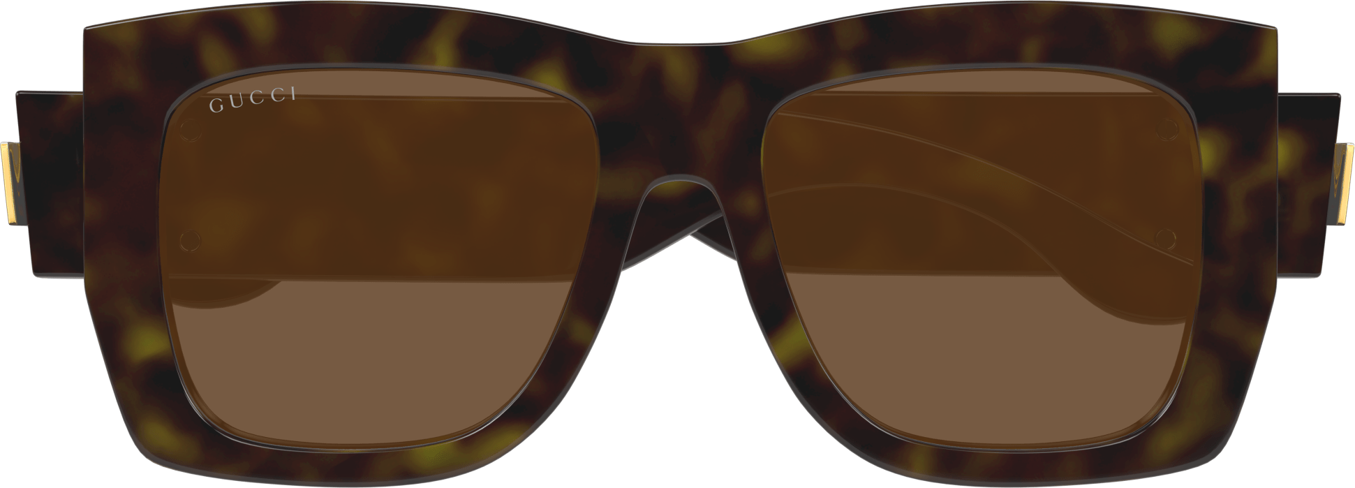 Color_GG1688S-002 - HAVANA - BROWN