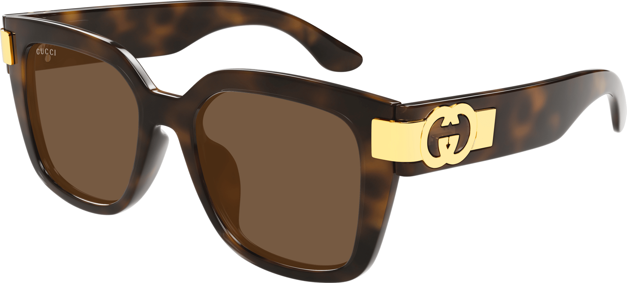 Color_GG1690SK-002 - HAVANA - BROWN