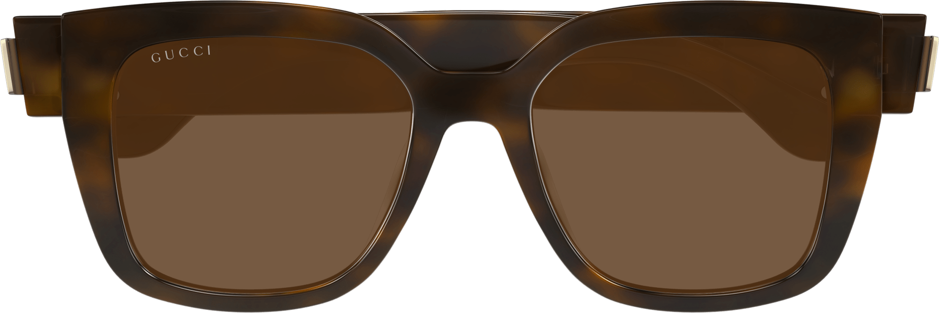 Color_GG1690SK-002 - HAVANA - BROWN