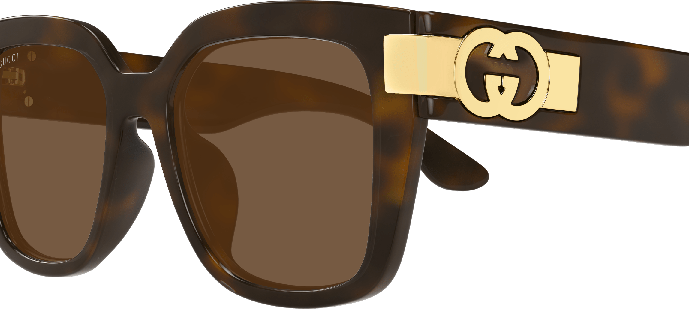 Color_GG1690SK-002 - HAVANA - BROWN