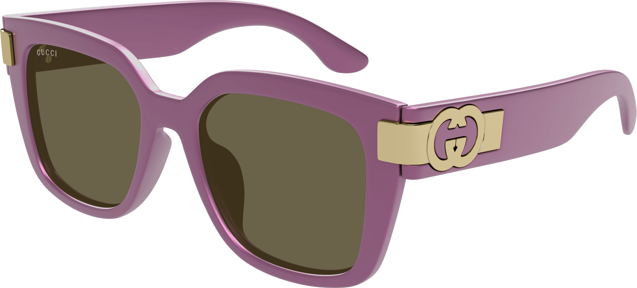 Color_GG1690SK-004 - VIOLET - BROWN