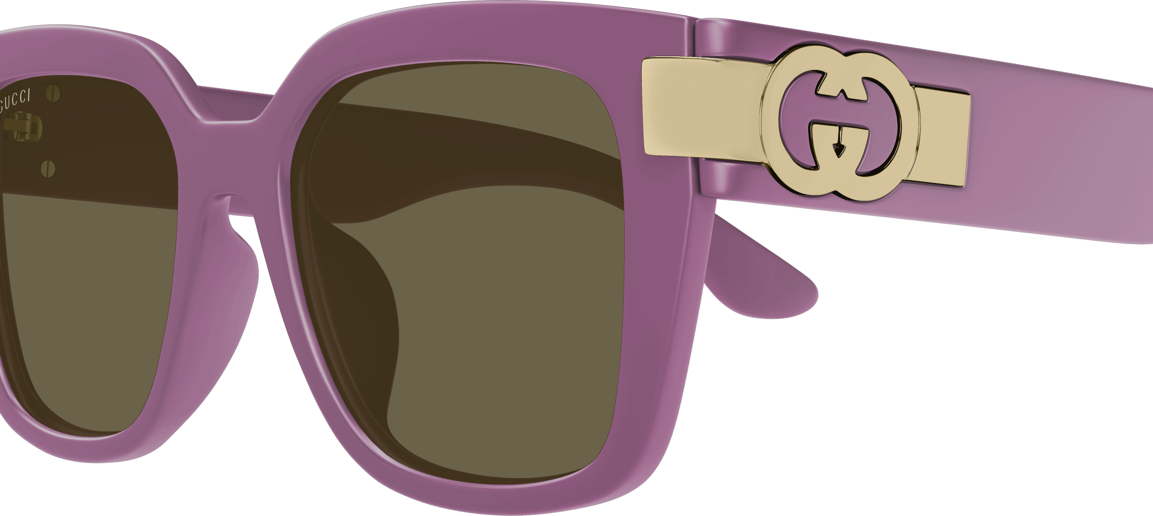 Color_GG1690SK-004 - VIOLET - BROWN