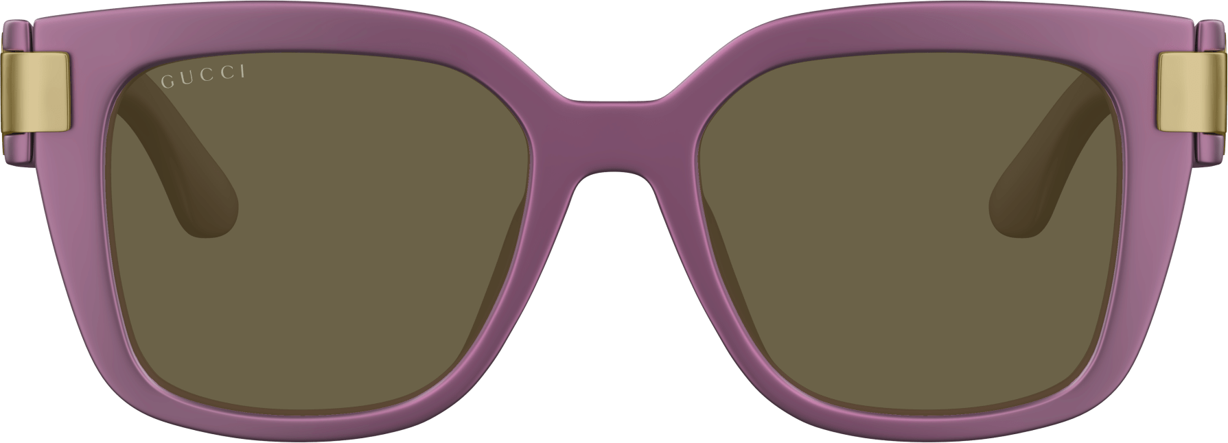 Color_GG1690SK-004 - VIOLET - BROWN