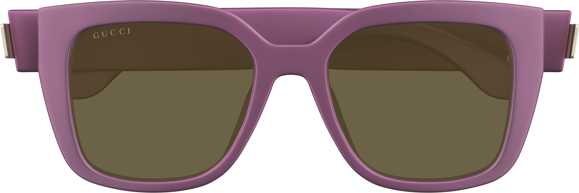 Color_GG1690SK-004 - VIOLET - BROWN