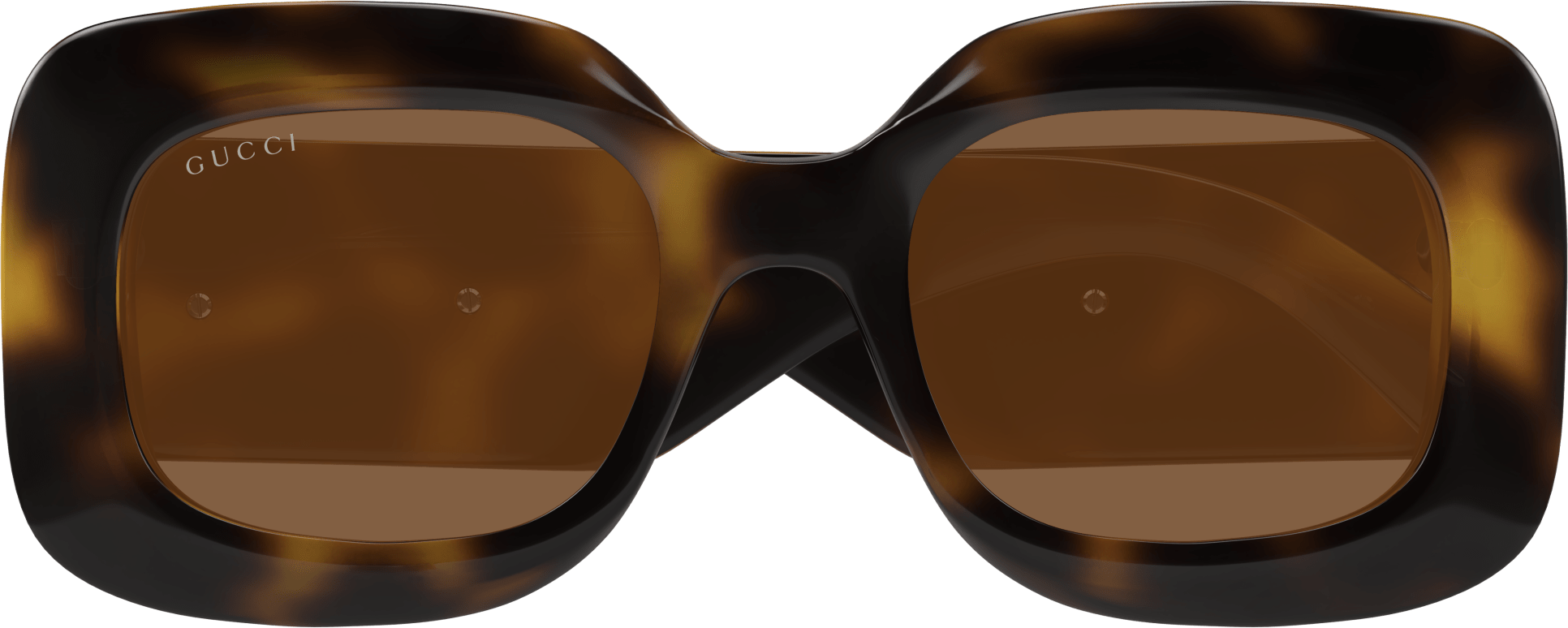 Color_GG1695S-002 - HAVANA - BROWN