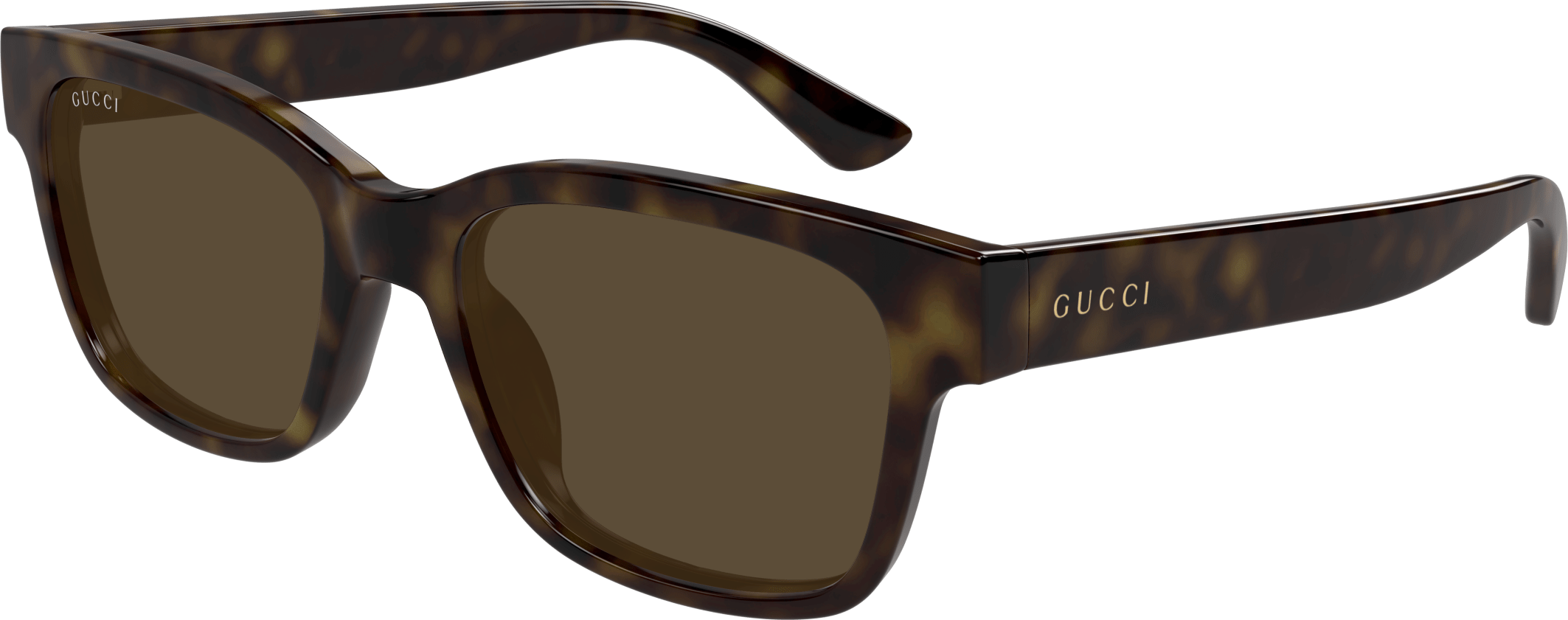 Color_GG1716S-002 - HAVANA - BROWN