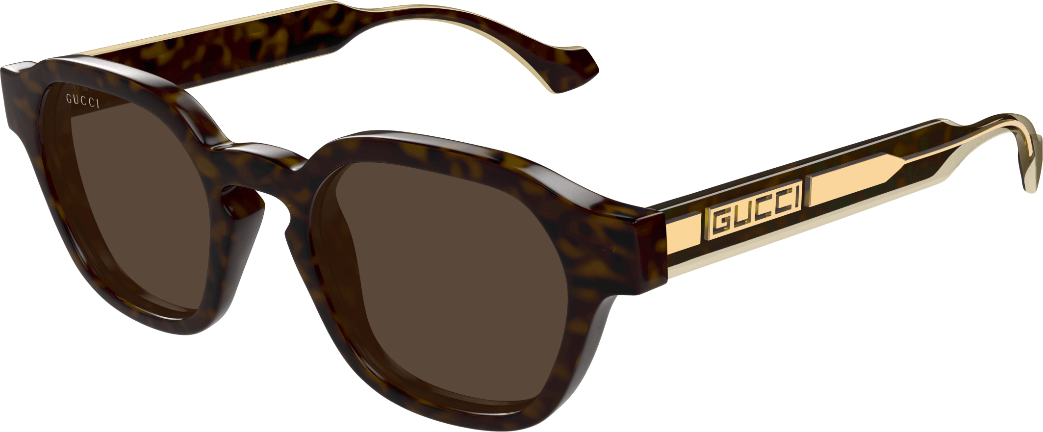 Color_GG1730S-002 - HAVANA - BROWN