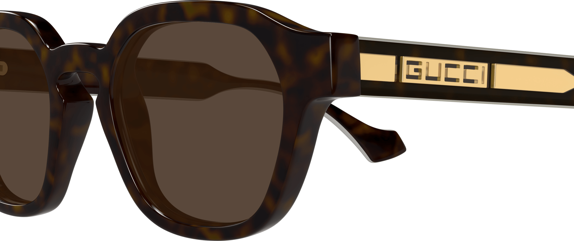 Color_GG1730S-002 - HAVANA - BROWN