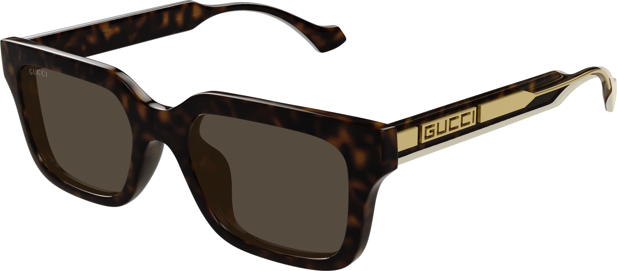 Color_GG1732SK-002 - HAVANA - BROWN