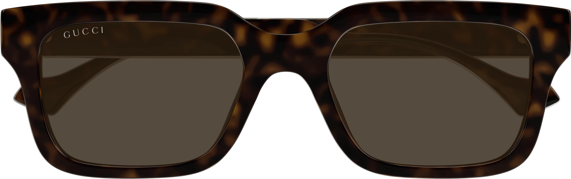 Color_GG1732SK-002 - HAVANA - BROWN