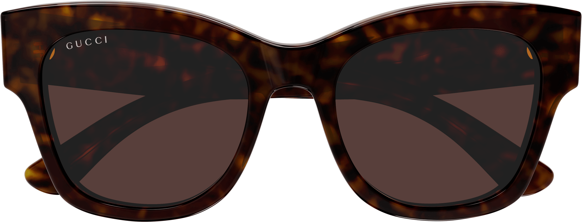 Color_GG1789S-002 - HAVANA - BROWN